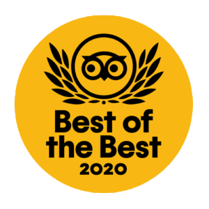 2020 Best of The Best Winner on Tripadvisor