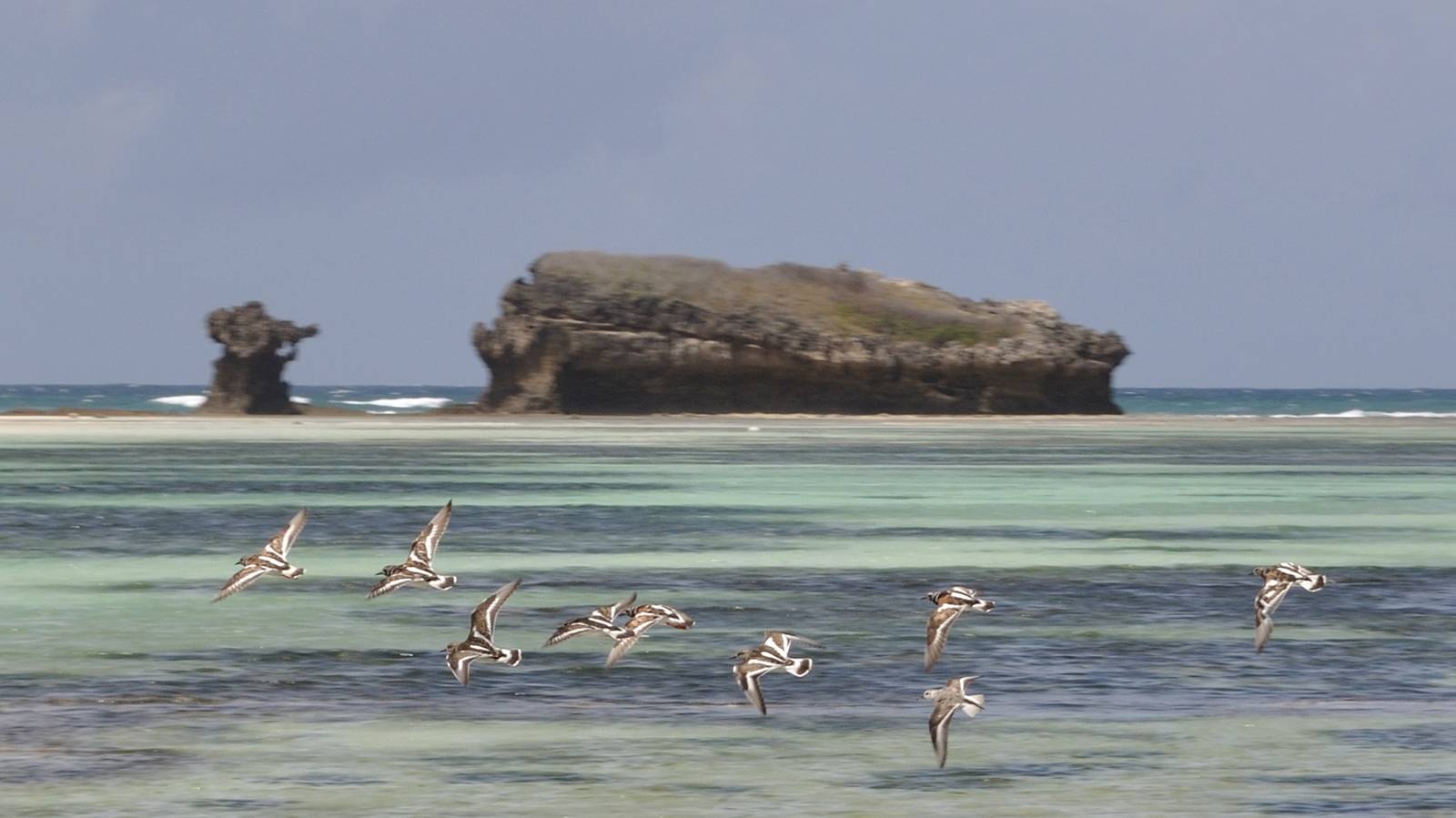 Watamu hotel special offer